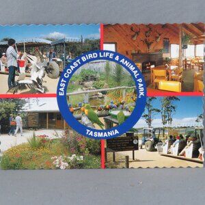 Vintage Postcard - East Coast Bird Life and Animal Park Tasmania - Tasmanian